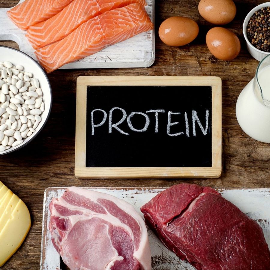 Picture of various protein sources