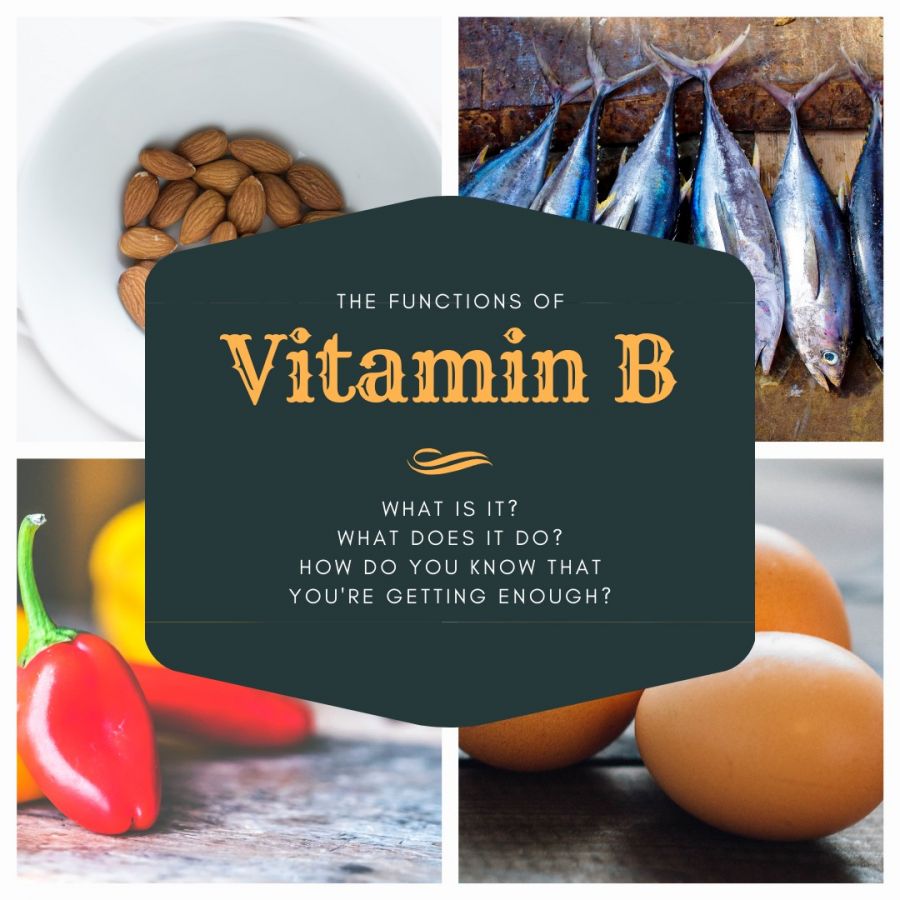 The Functions of Vitamin B. What is it? Waht does it do? How do you know that you're getting enough?